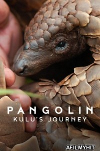 Pangolin Kulus Journey (2025) ORG Hindi Dubbed Movie HDRip